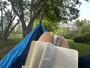 Read more about the article A Hammock with the Family Tree