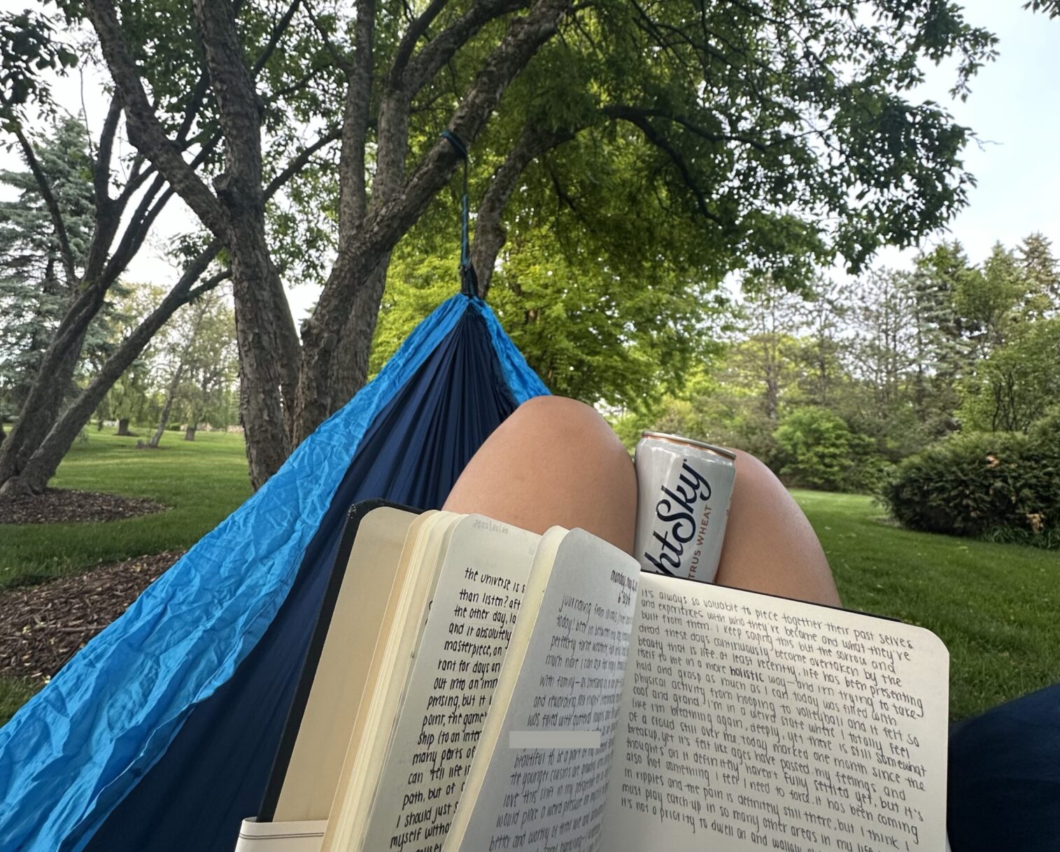 A Hammock with the Family Tree